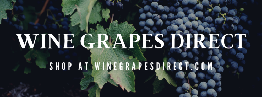 WineGrapesDirect